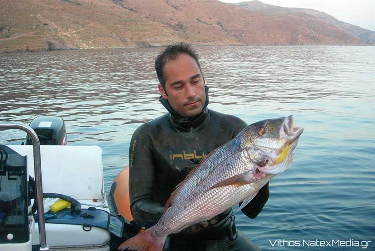 ΜΕΛΑΝΟΥΡΙ & ΚΕΦΑΛΟΣ… δυο ψάρια παρεξηγημένα (+ Δώρο Ιστορία με Συναγρίδα).