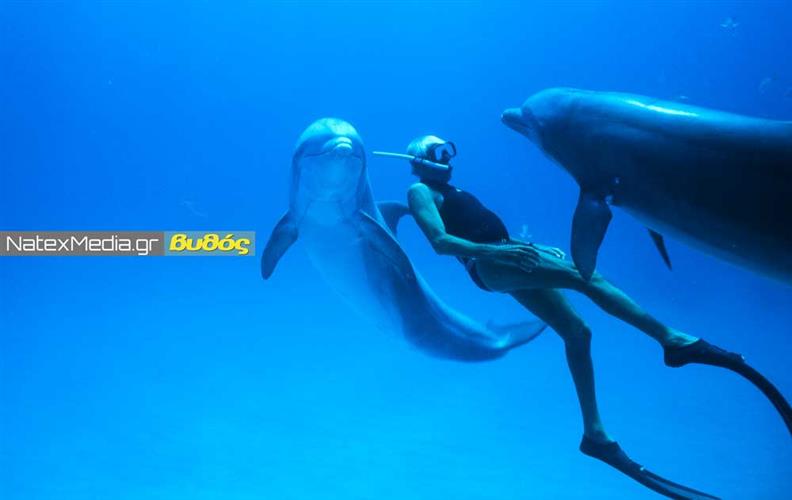 «Dolphin Man»: O Λευτέρης Χαρίτος βυθίζεται στο απέραντο γαλάζιο της φιλοσοφίας ζωής του Ζακ Μαγιόλ.